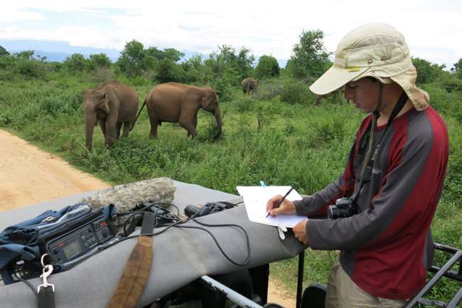 Research study uses sounds of disturbed honey bees to scare away Sri Lankan elephants